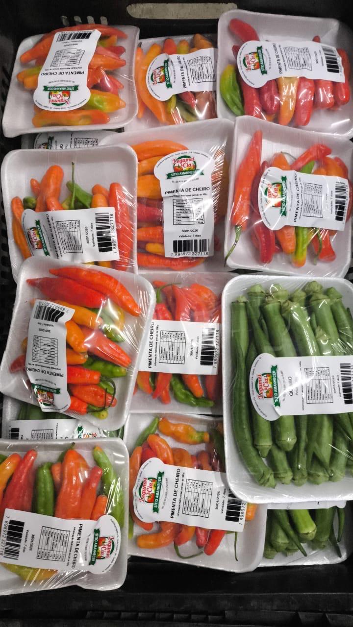Bandejas de pimentas de cheiro e quiabo embalados
