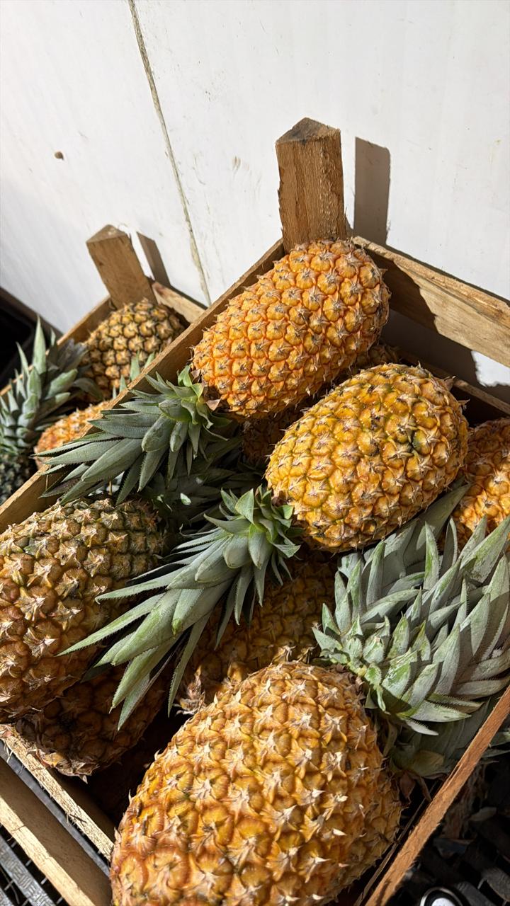 Abacaxis maduros em caixas de madeira